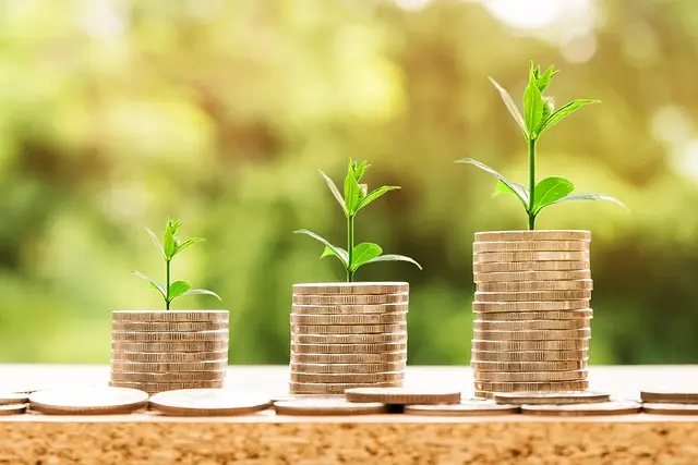 Cómo ganar dinero fácil con tus habilidades únicas